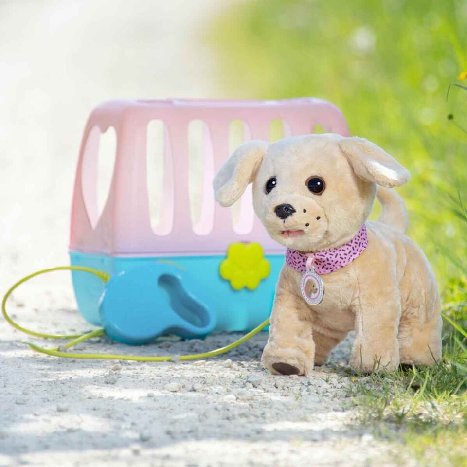 Sesli ve Hareketli Köpeğim Lucky